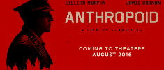 Anthropoid