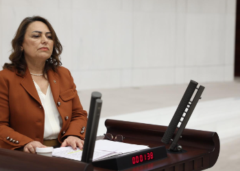 CHP MİLLETVEKİLİ ŞEVKİN'DN TARİHİ ÖNERİ