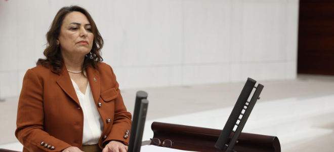 CHP MİLLETVEKİLİ ŞEVKİN'DN TARİHİ ÖNERİ