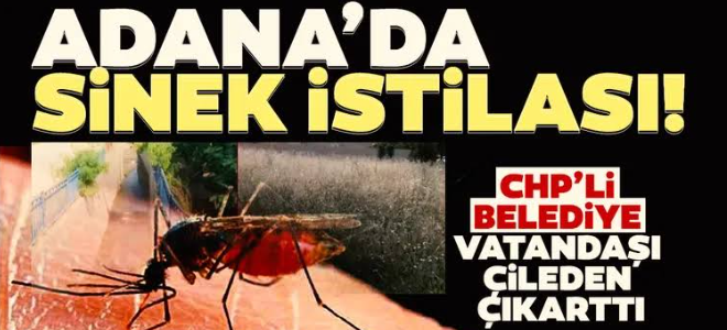 ADANA SİVRİSİNEKLERE TESLİM